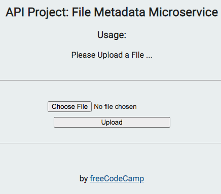 API file metadata microservice app